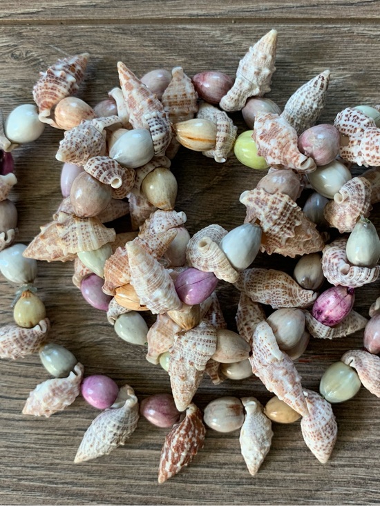 Vintage Jewelry - Vintage Hawaiian Shell Necklace